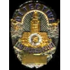 LAPD LOS ANGELES, CA POLICE DEPARTMENT DETECTIVE BADGE PIN